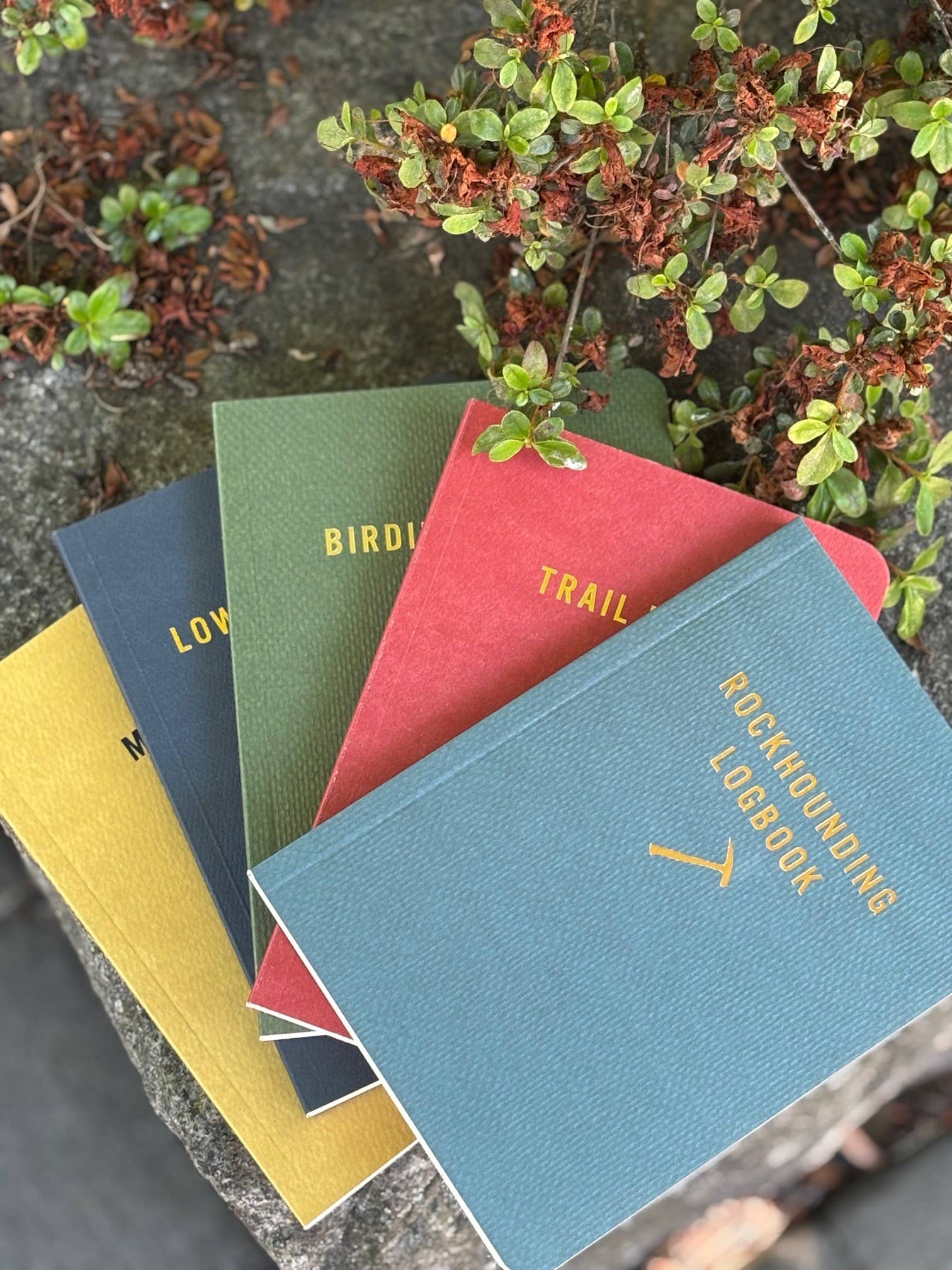 Mushroom Logbook