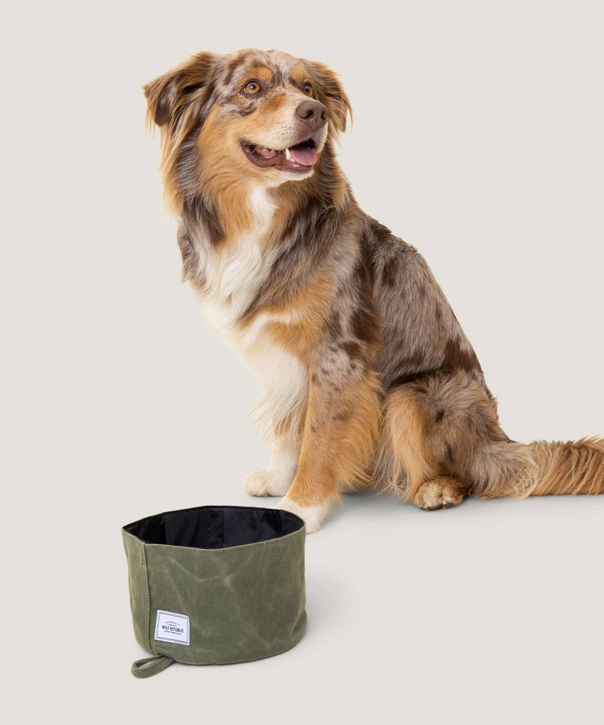 Collapsible Lightweight Waxed Canvas Pet Bowl