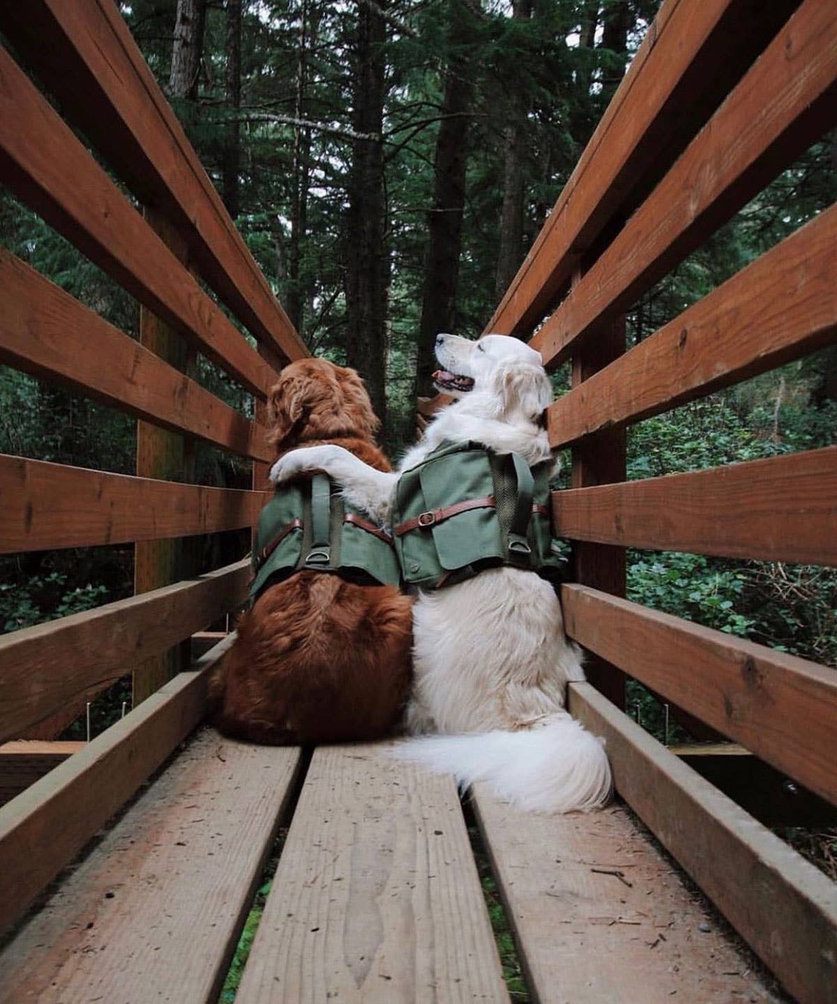 Ranger Pack