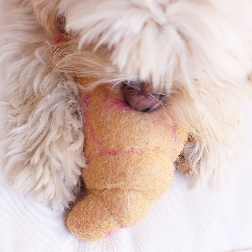 WOOL CROISSANT Wool Dog Toy