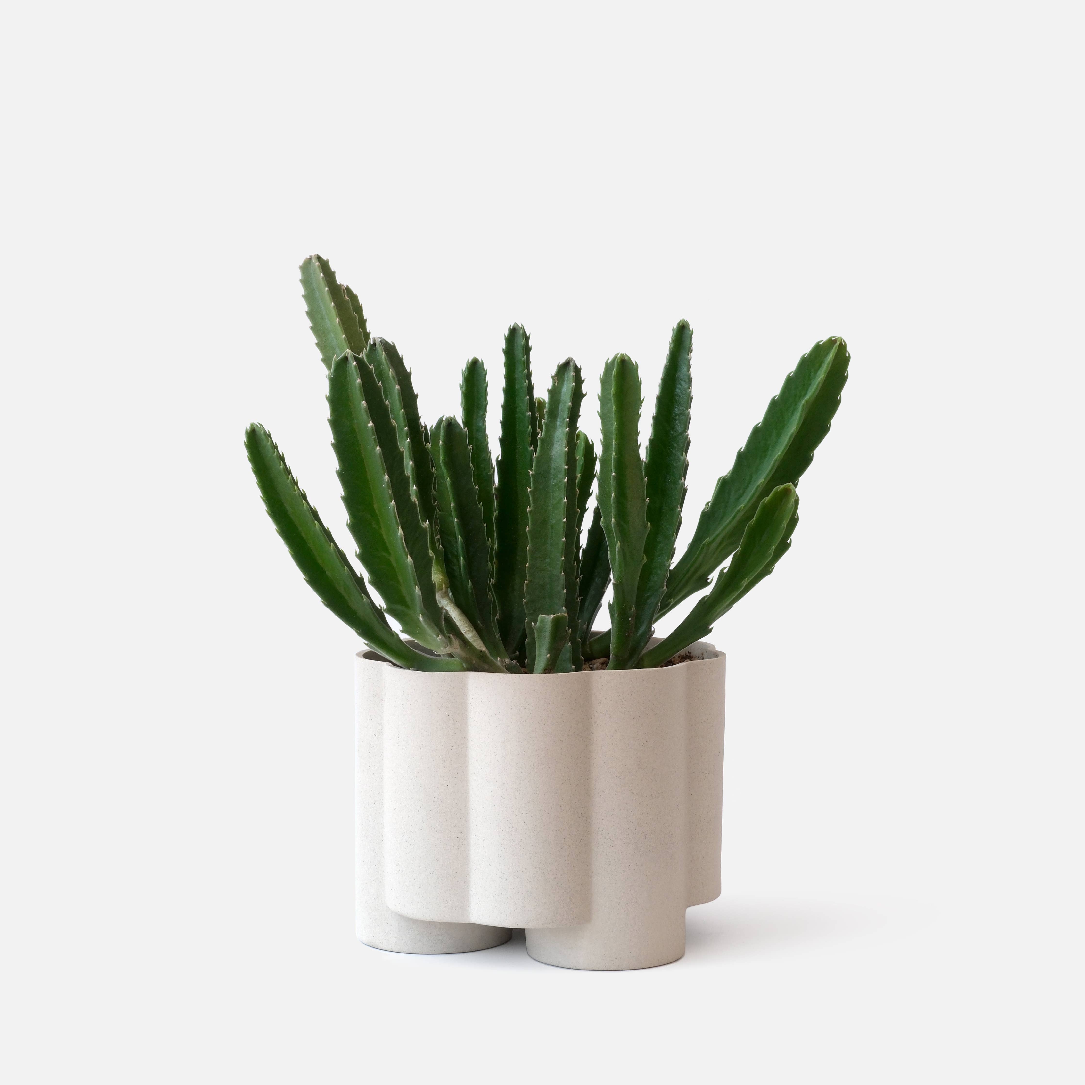 Pillar Planter