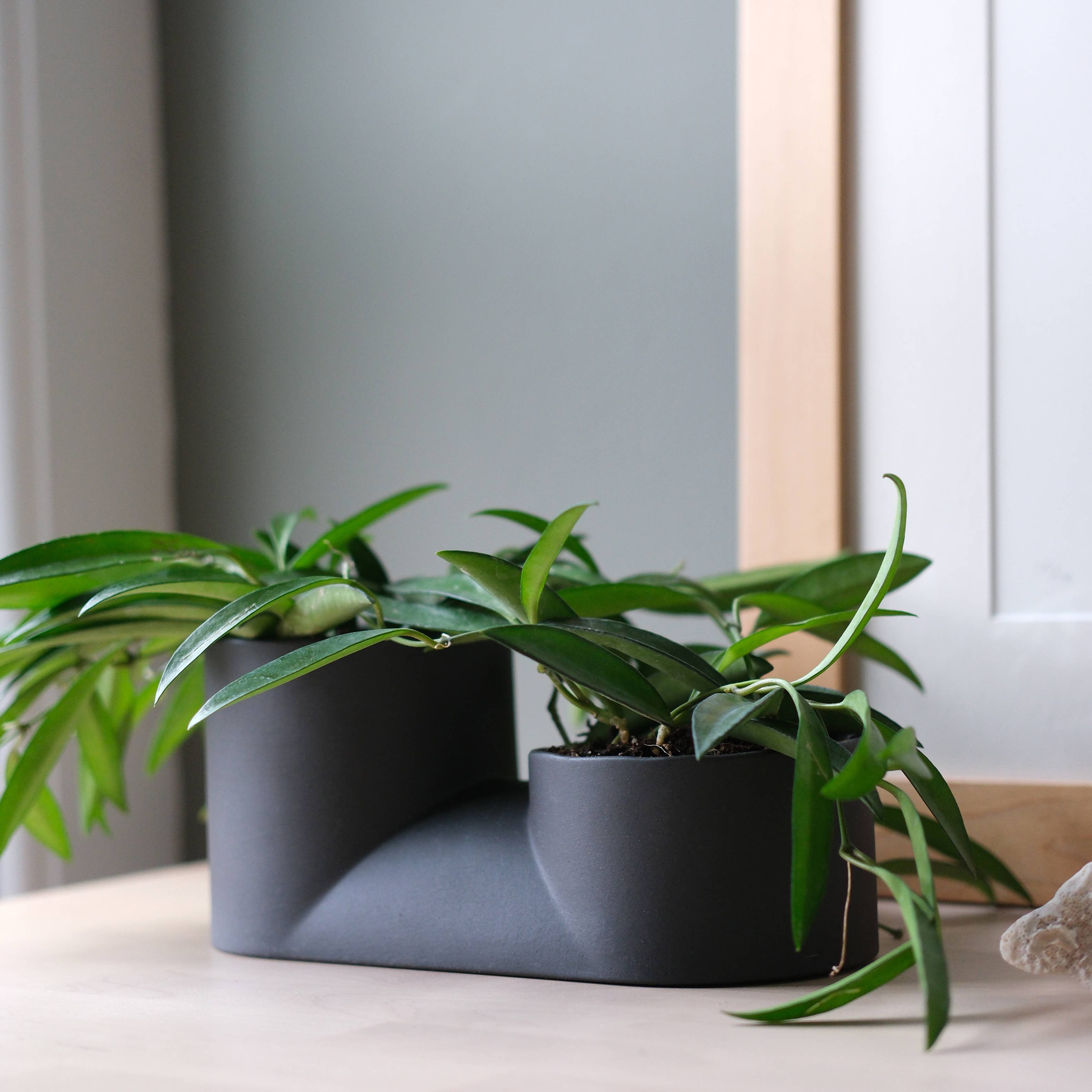 Double Planter