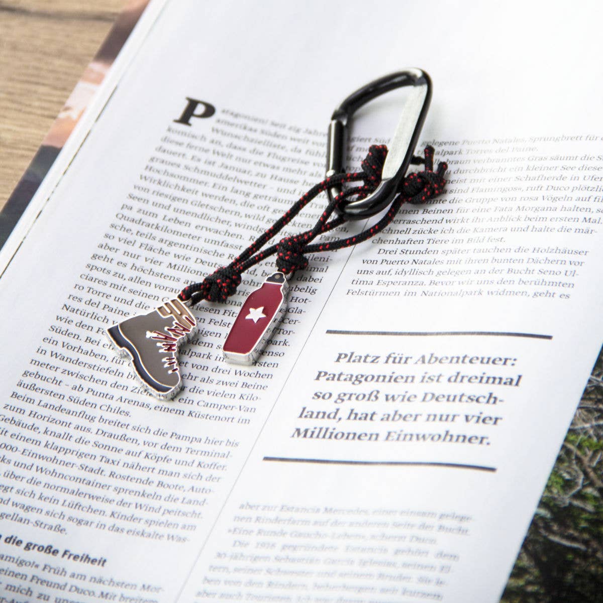 Hiking Carabiner Key Chain