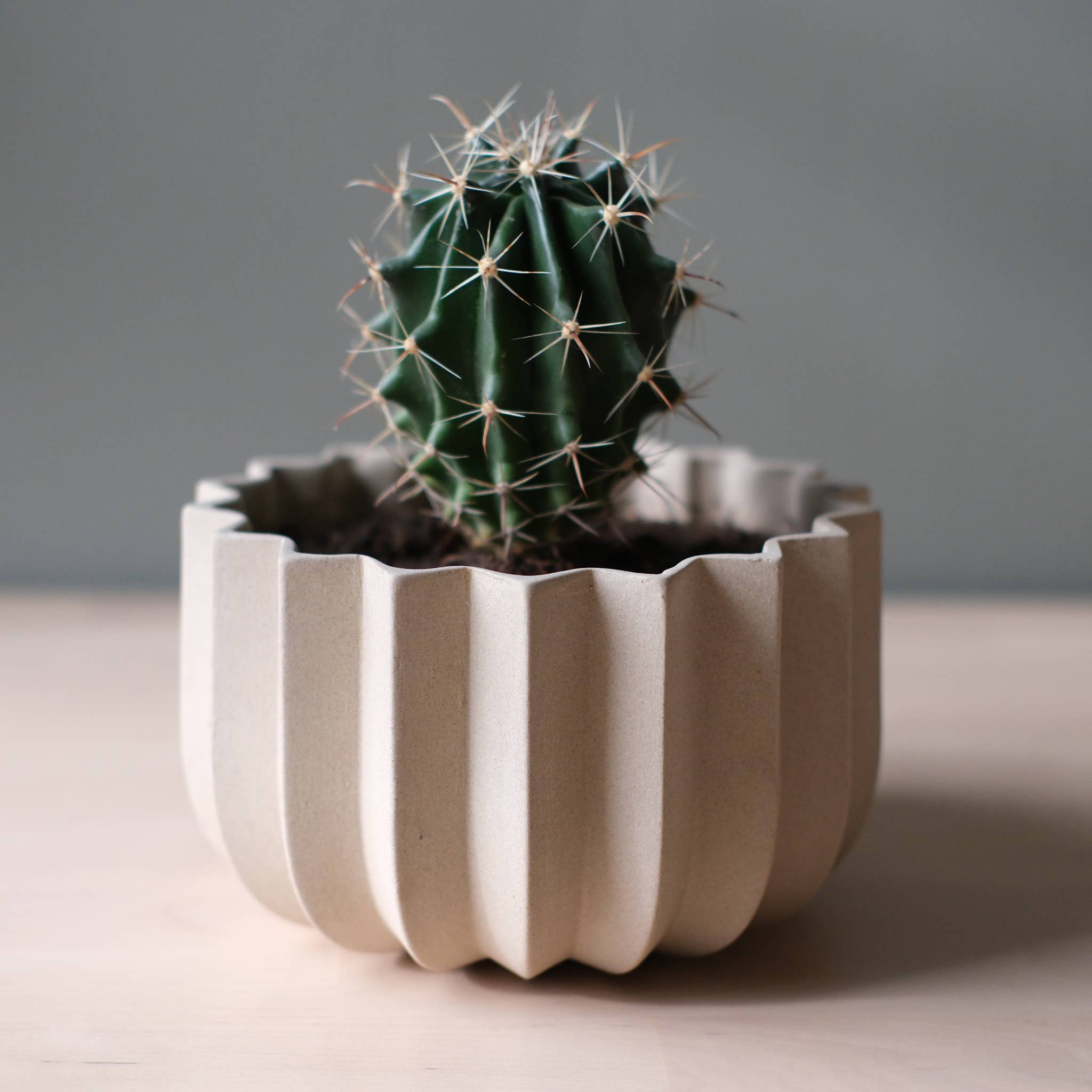 7" Wrap Ceramic Planter | Dune