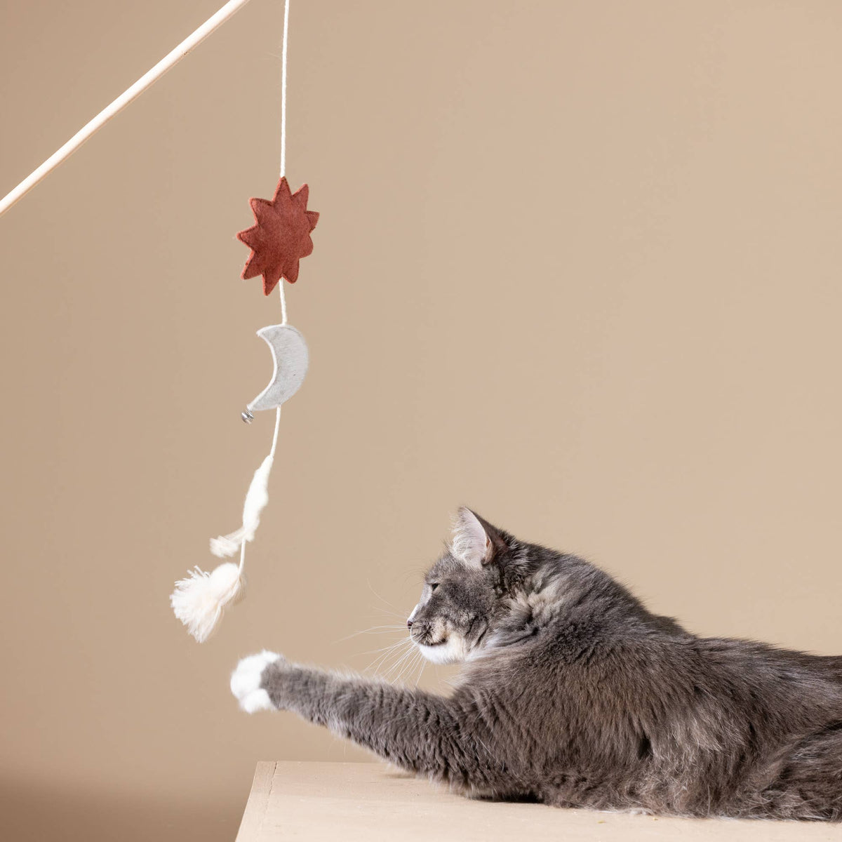 Happy Skies Teaser Cat Toy