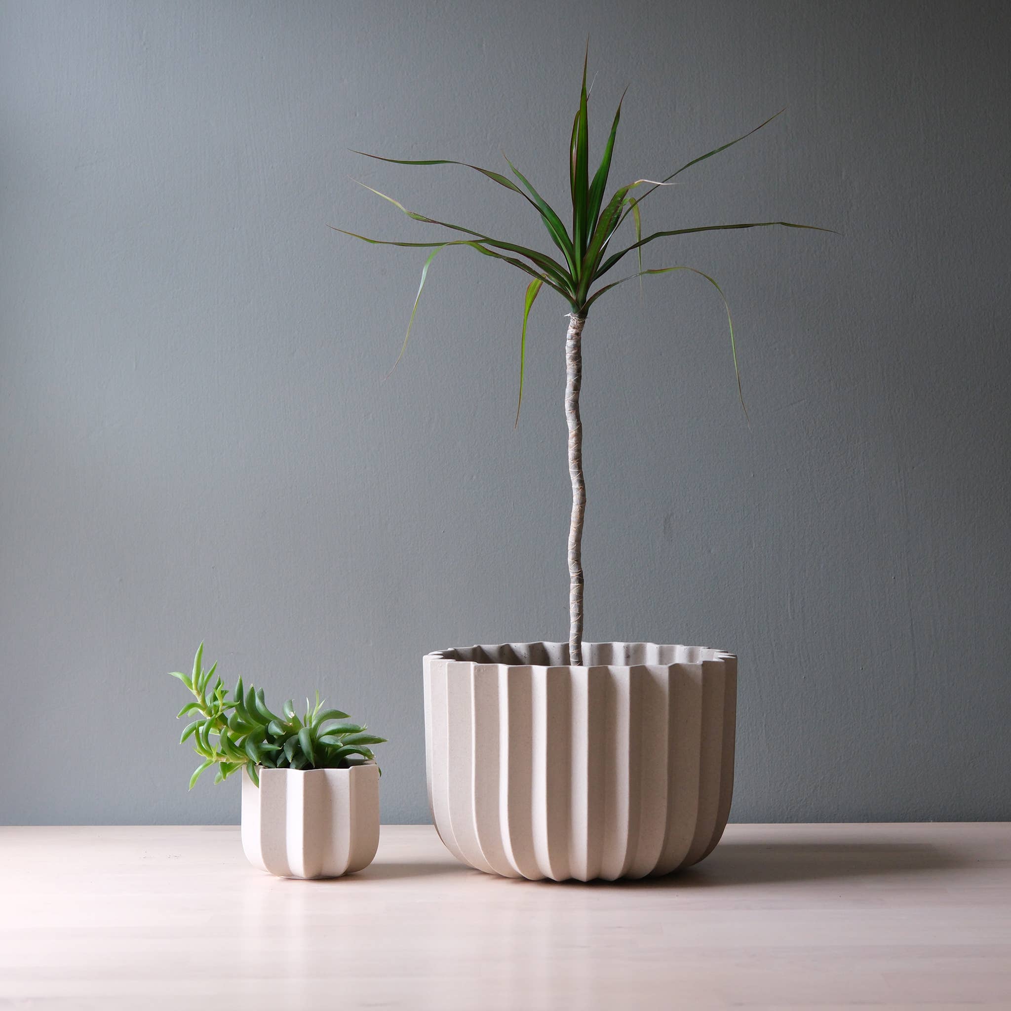 5" Wrap Ceramic Planter | Black