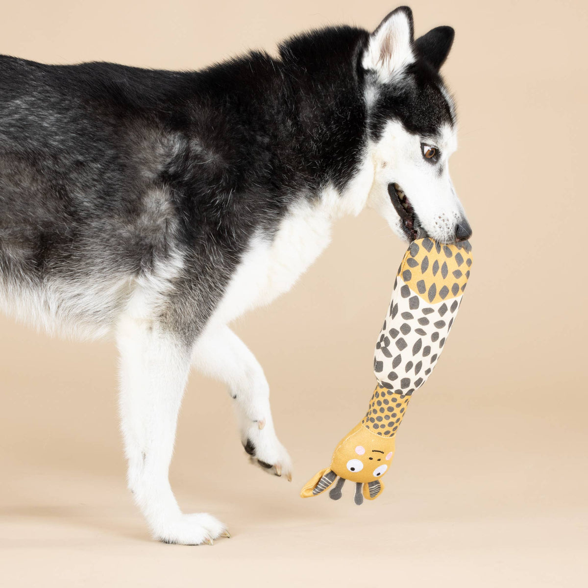 High There Canvas Squeaker Dog Toy