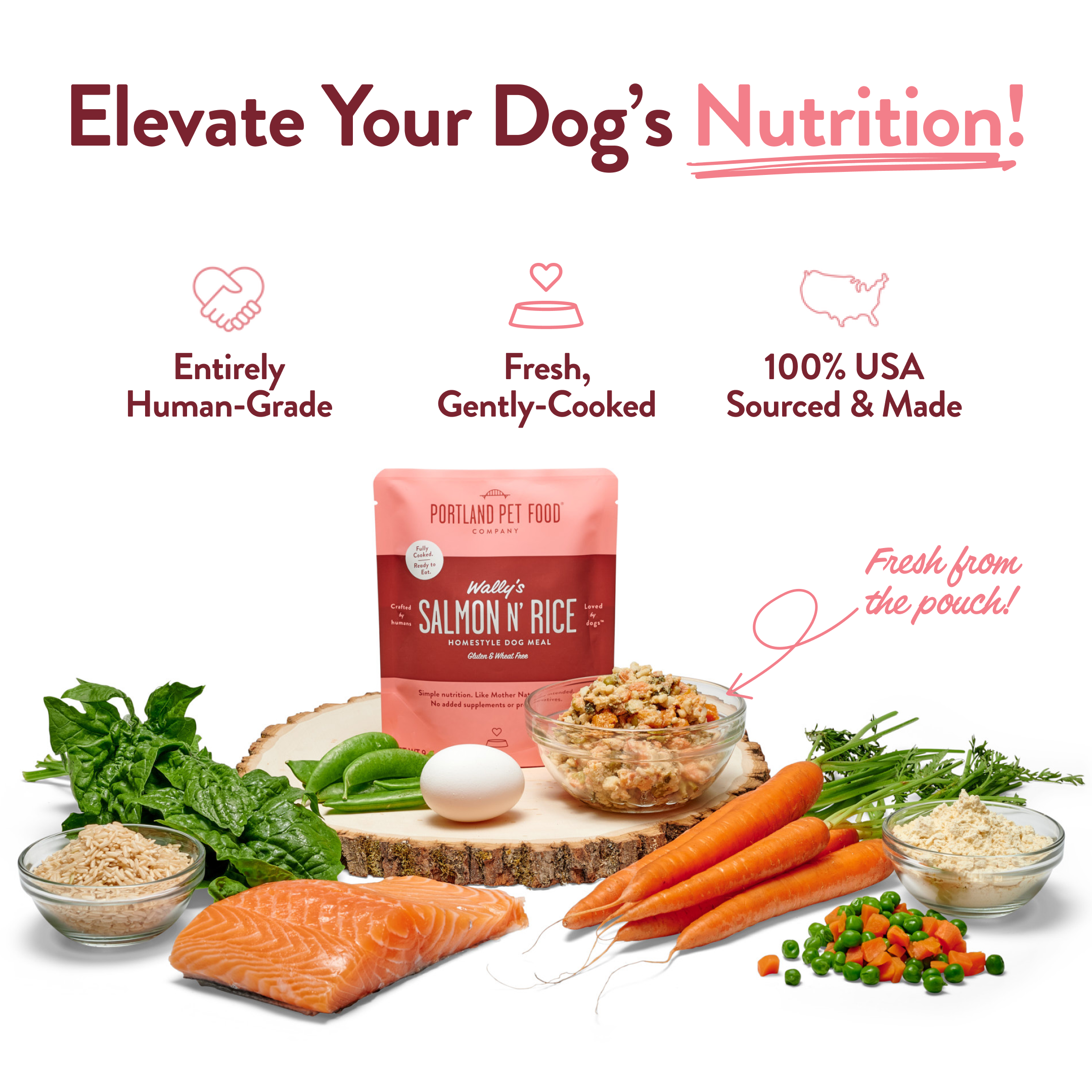 Wally's Salmon N' Rice Human Grade Fresh Wet Food Dog Pouch