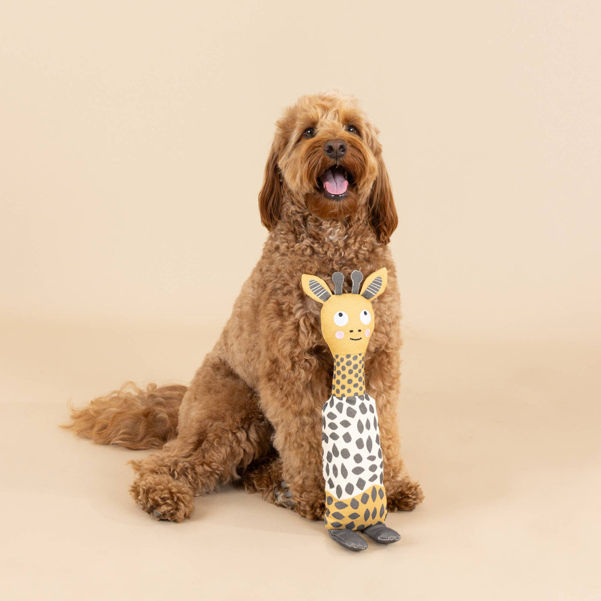 High There Canvas Squeaker Dog Toy