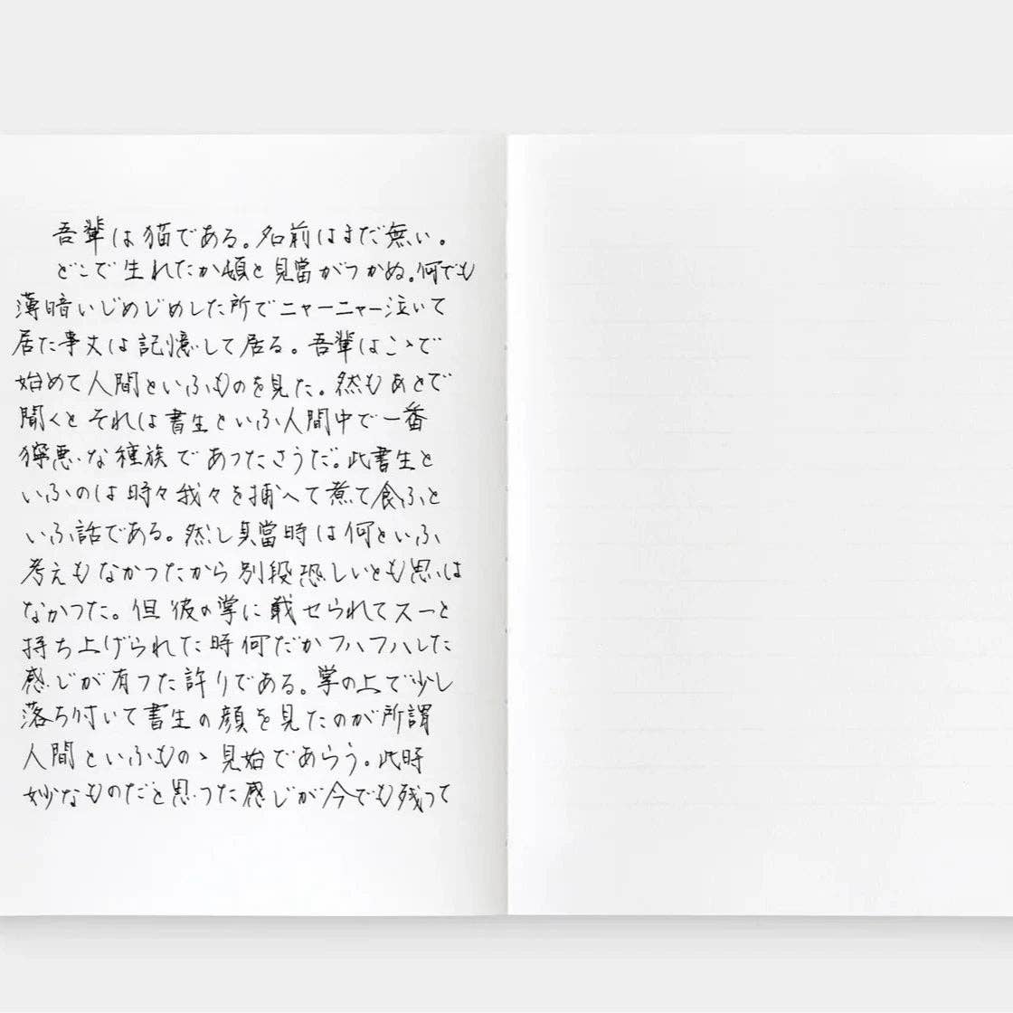 Watermarked Notebook For Writers