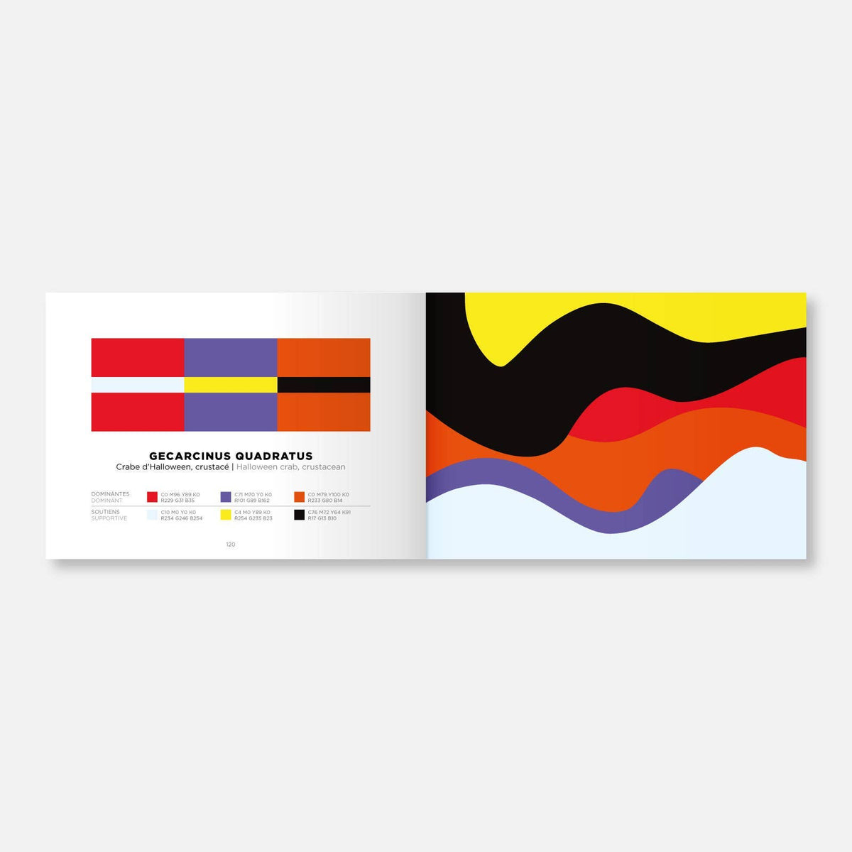 Color Inspiration Book