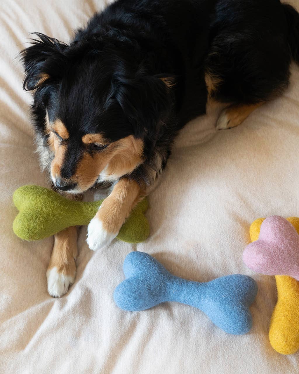 MB WOOLBONE Wool Dog Toy