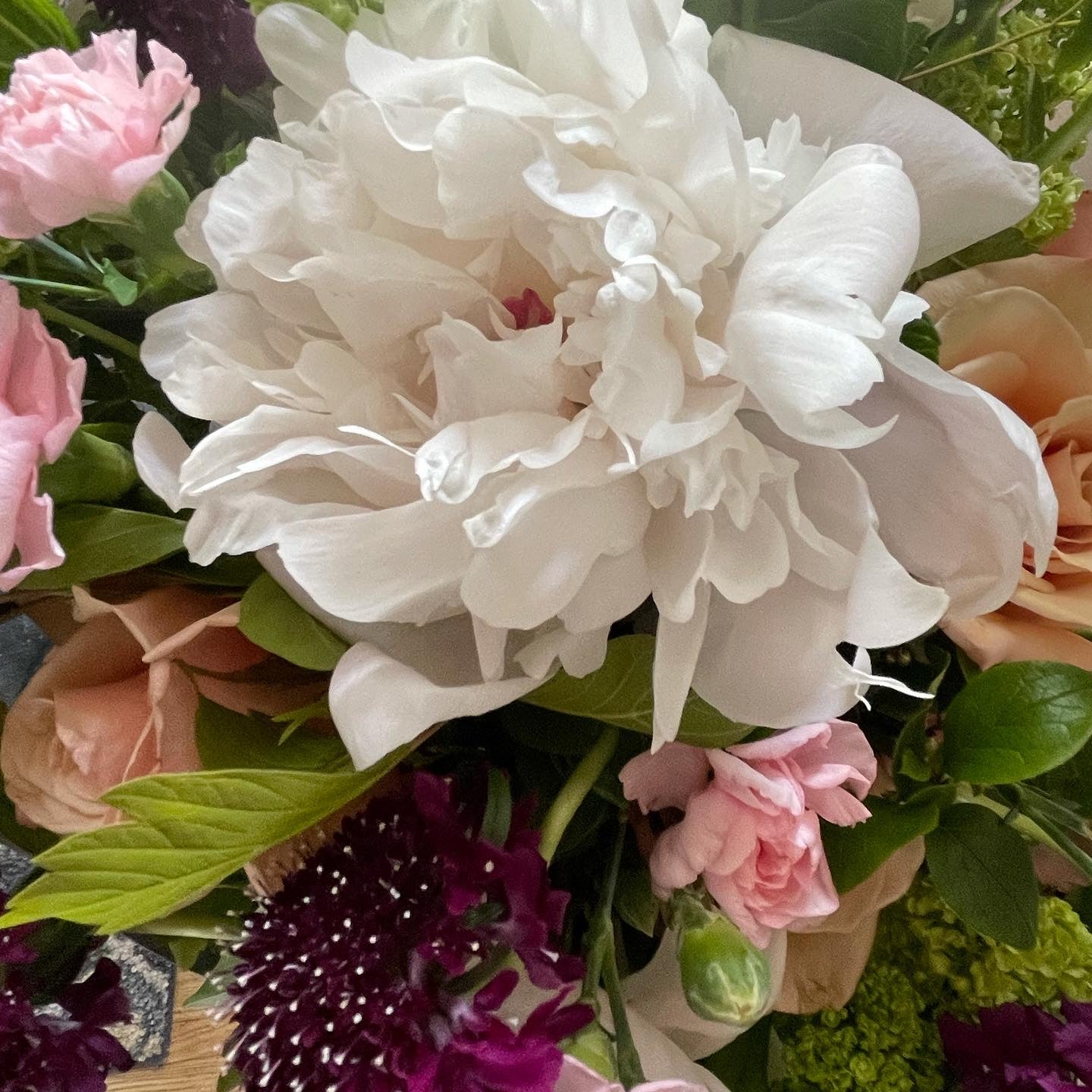 Floral