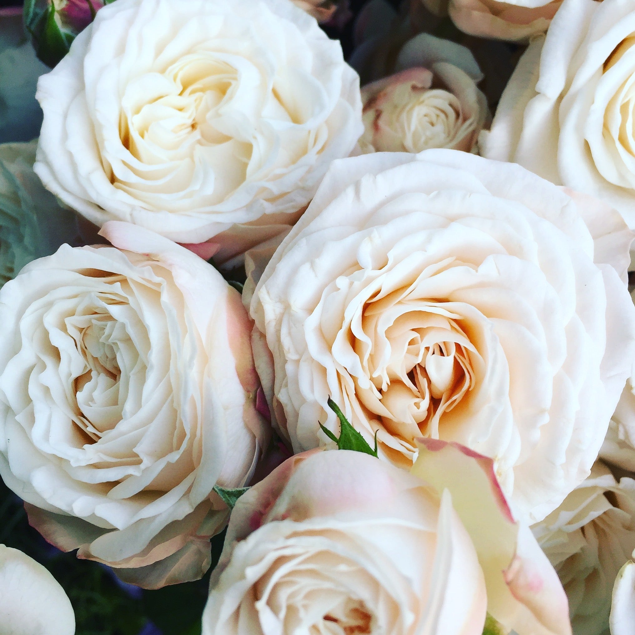Classic Wedding Collection
