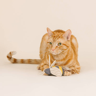 Worth the Buzz Launcher Cat Toy