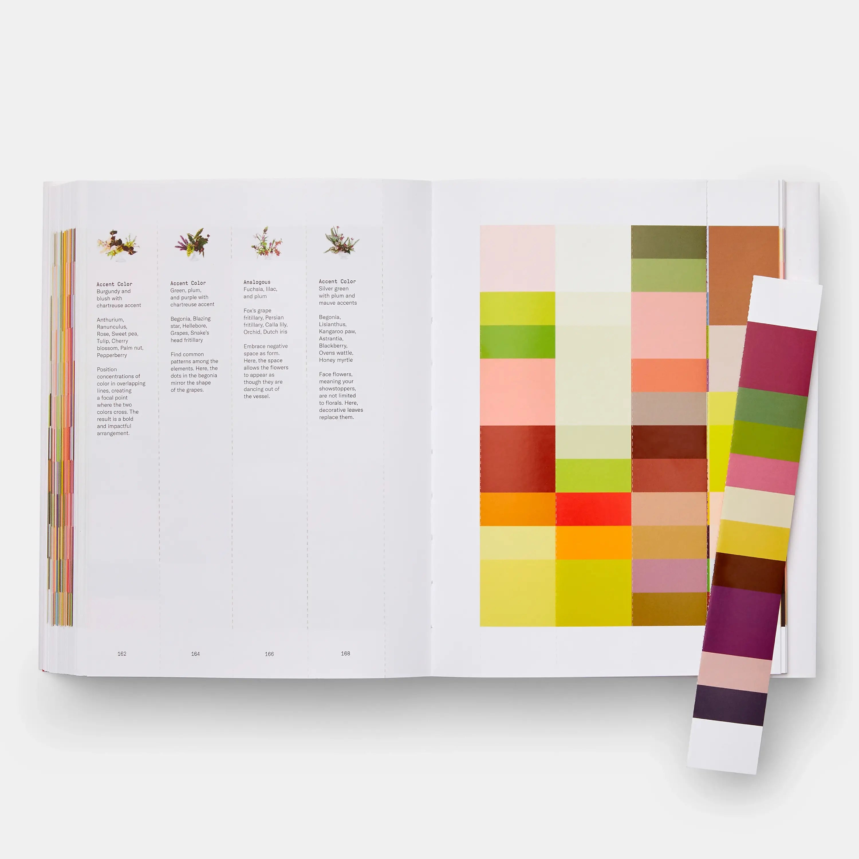 Flower Color Theory