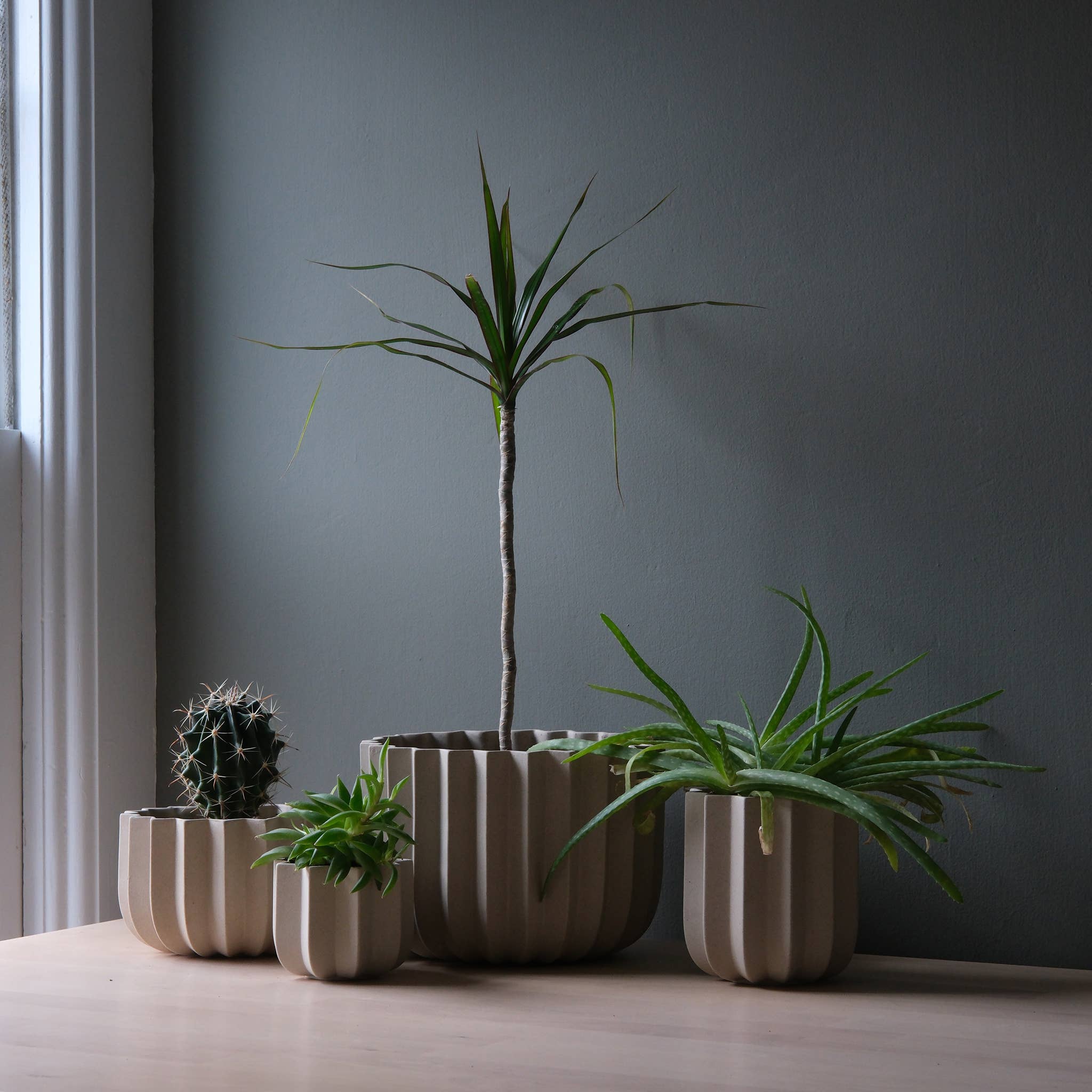 7" Wrap Ceramic Planter | Black