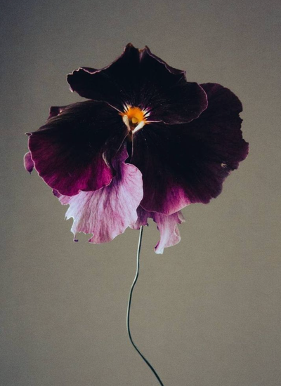 Moody Blooms - Mini Candle