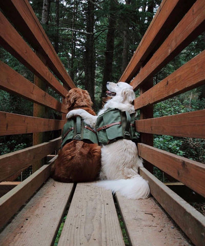 Ranger Pack