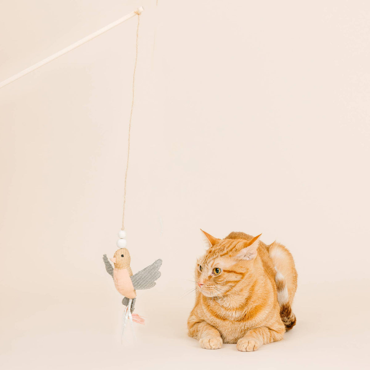 Taking Flight Teaser Cat Toy