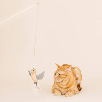 Taking Flight Teaser Cat Toy