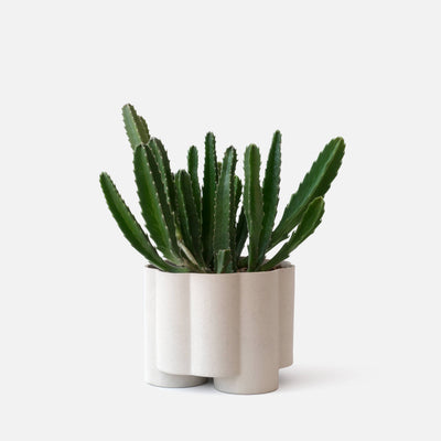 Pillar Planter