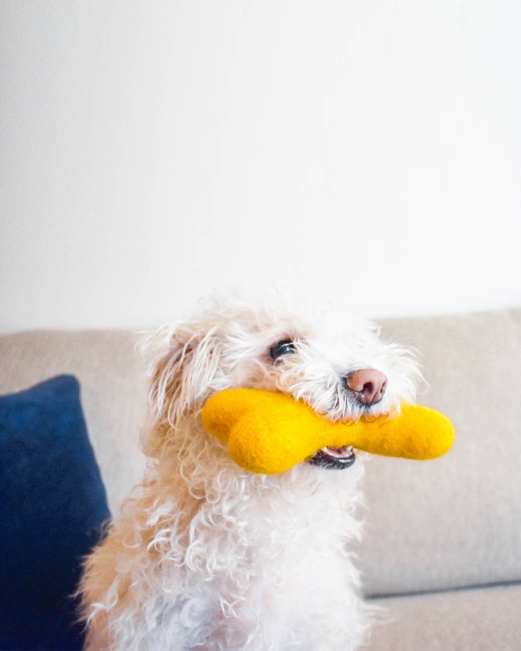 MB WOOLBONE Wool Dog Toy