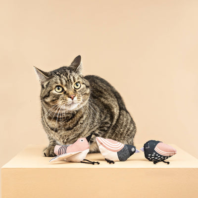 Under My Wings Cat Toy Set, 3 Pieces