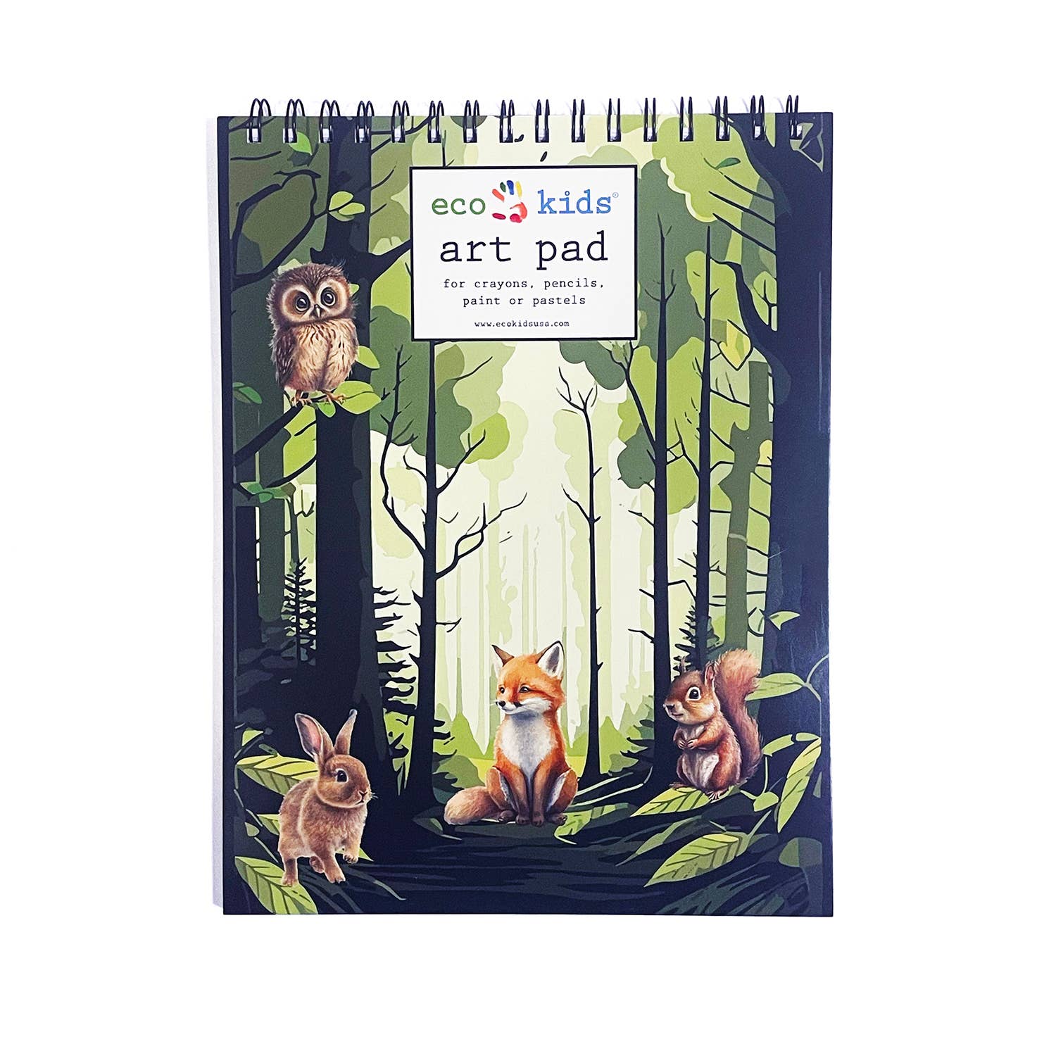 Themed Art Pads - 12ct - 8.5x11 in - 50 Pages, Spiral Bound