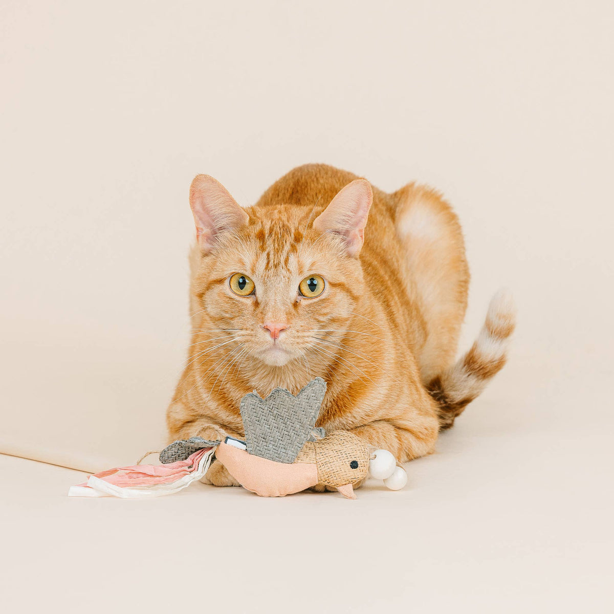 Taking Flight Teaser Cat Toy