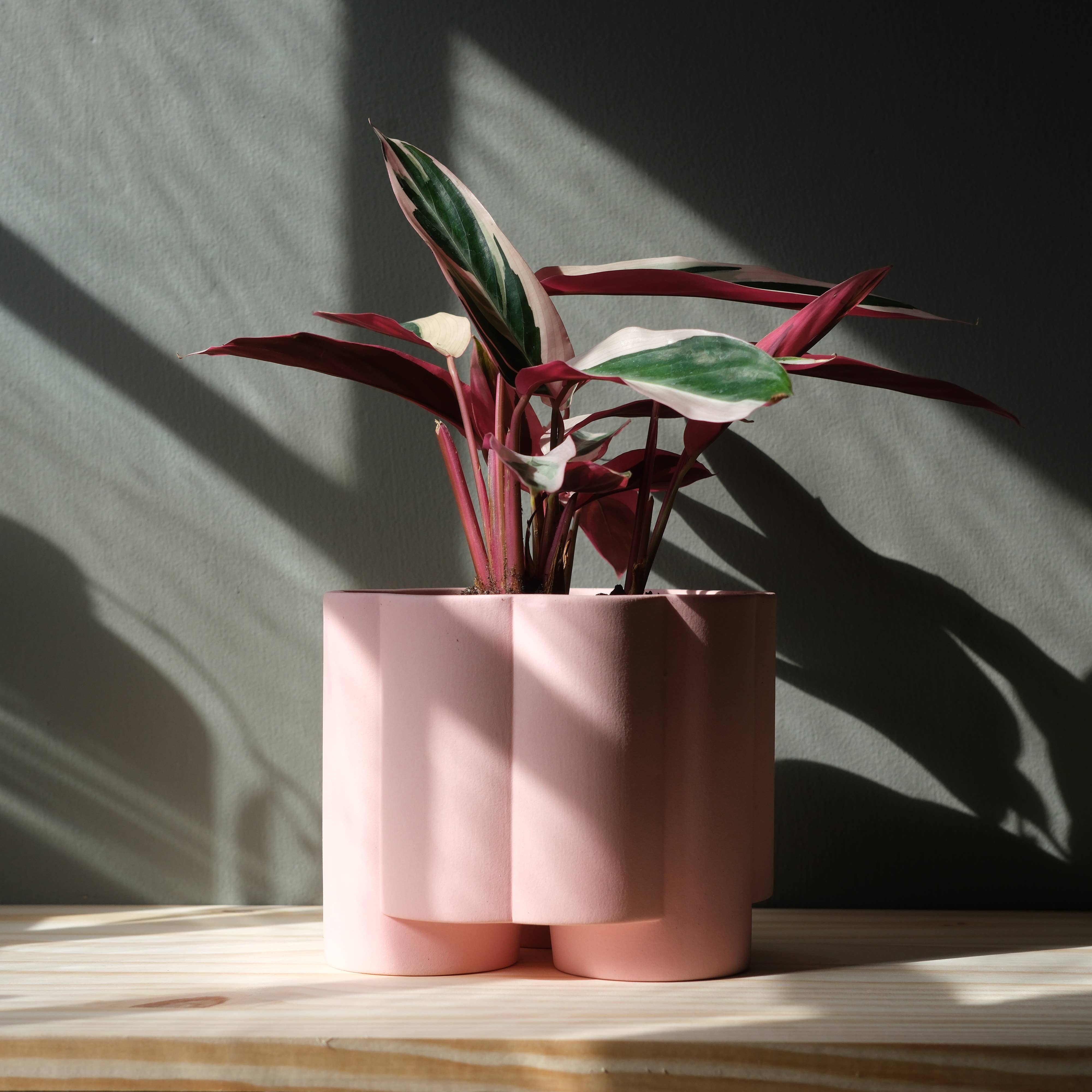 Pillar Planter