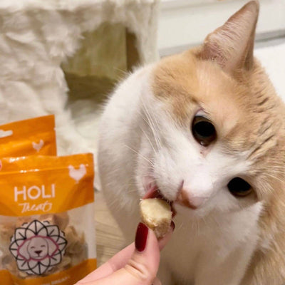 HOLI Chicken Dog Treats - All Natural Breast Meat - Freeze Dried