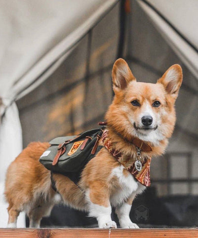 Ranger Pack