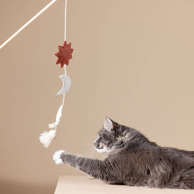 Happy Skies Teaser Cat Toy