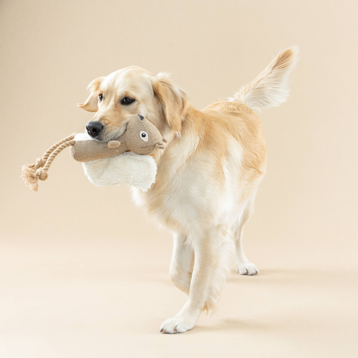 Bring More Nuts Squirrel Dog Toy