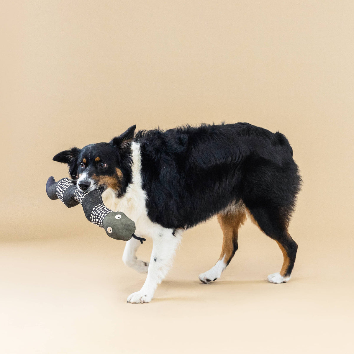 Ssssssup Canvas Dog Toy
