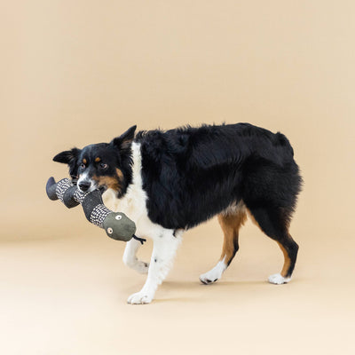 Ssssssup Canvas Dog Toy