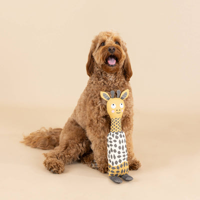 High There Canvas Squeaker Dog Toy
