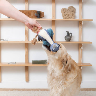 Feather Than Ever Bird Dog Toy