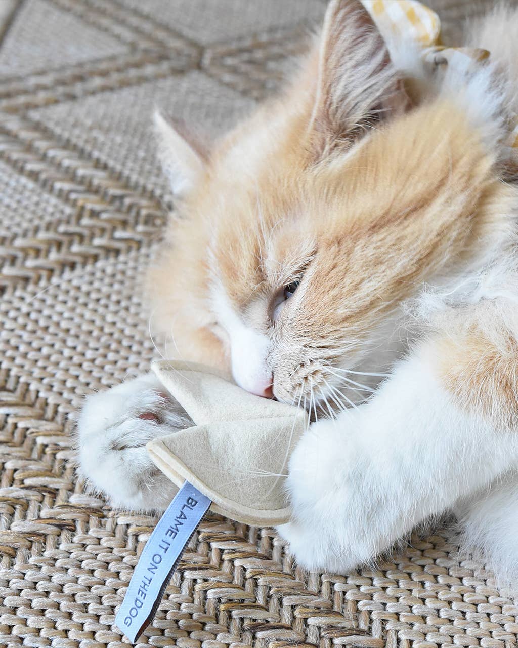 KITTY FORTUNE COOKIE Organic Catnip Cat Toy