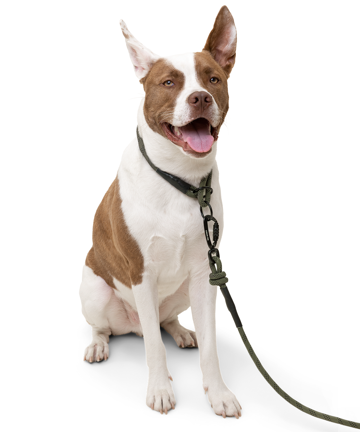 Alpine Leash - Hunter Green