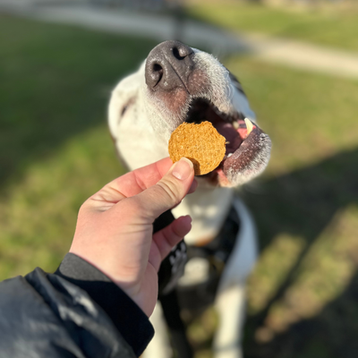 Fish Chips Dog Treats