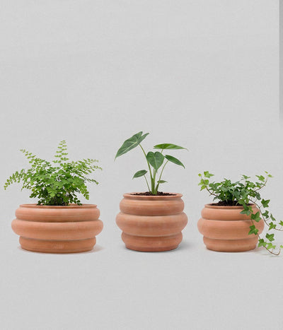 Basin Terracotta Pot, Whitewash
