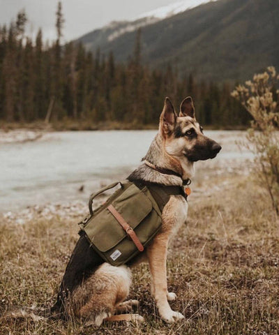Ranger Pack