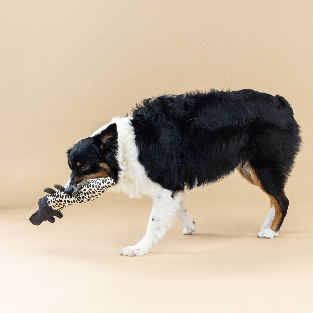 Croc My World Canvas Dog Toy