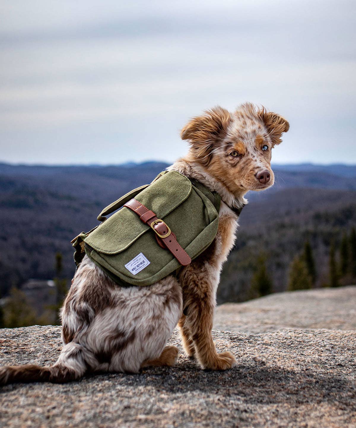 Ranger Pack