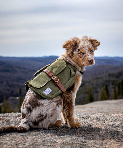 Ranger Pack