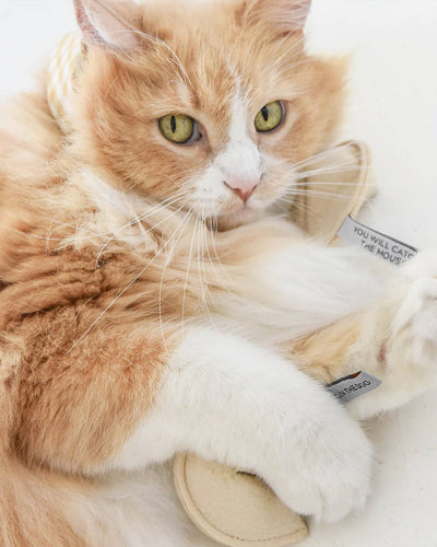 KITTY FORTUNE COOKIE Organic Catnip Cat Toy