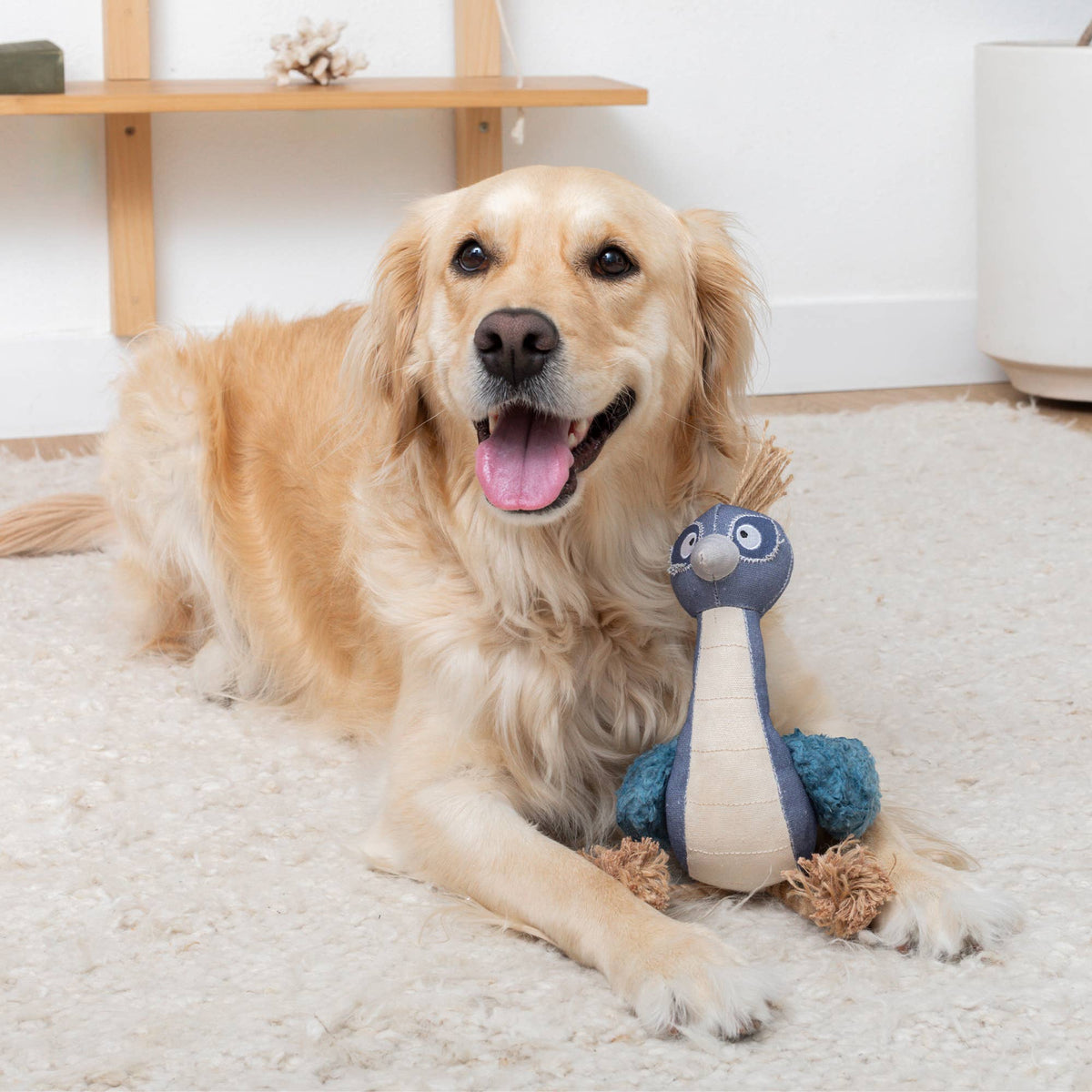 Feather Than Ever Bird Dog Toy