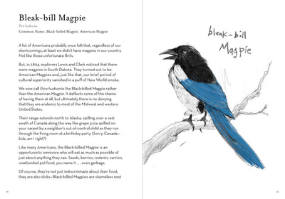 Dumb Birds Field Guide to the Worst Birds Ever